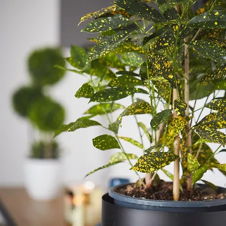 Apartament Pileckiego Iv By Jumpinhere *