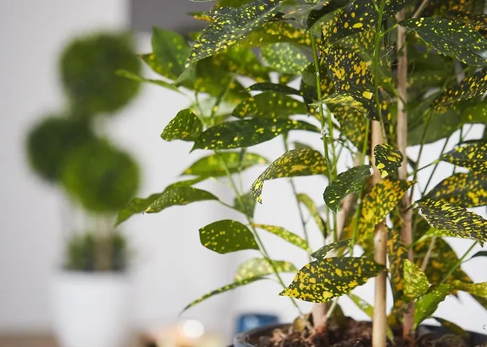 Apartament Pileckiego Iv By Jumpinhere *